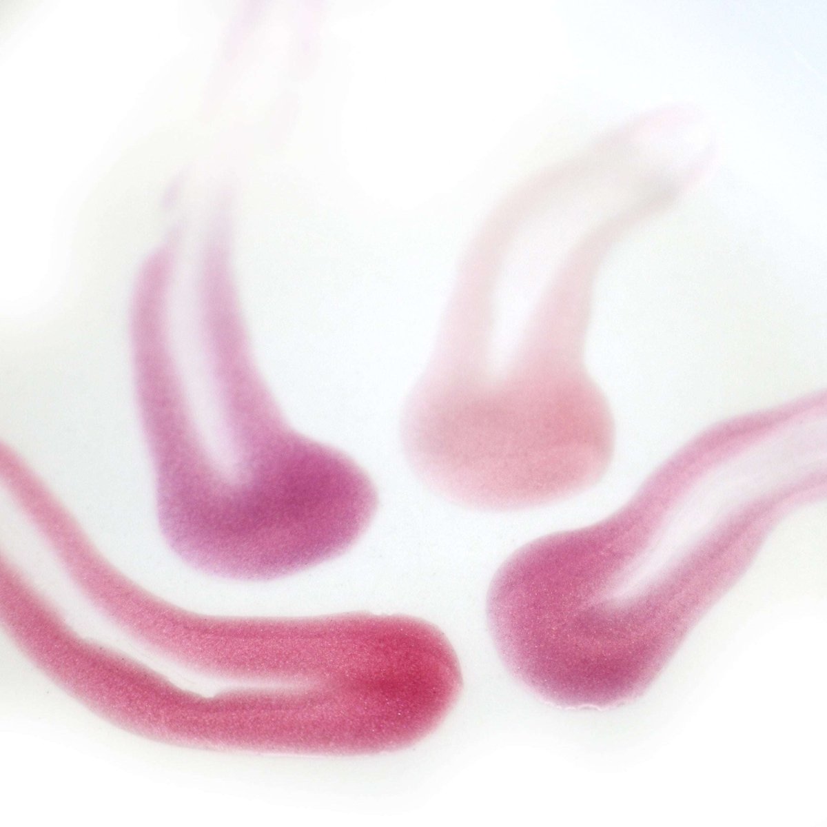 Cubs Lip Gloss - Mama Bear's Naturals - Zero Toxin Skincare