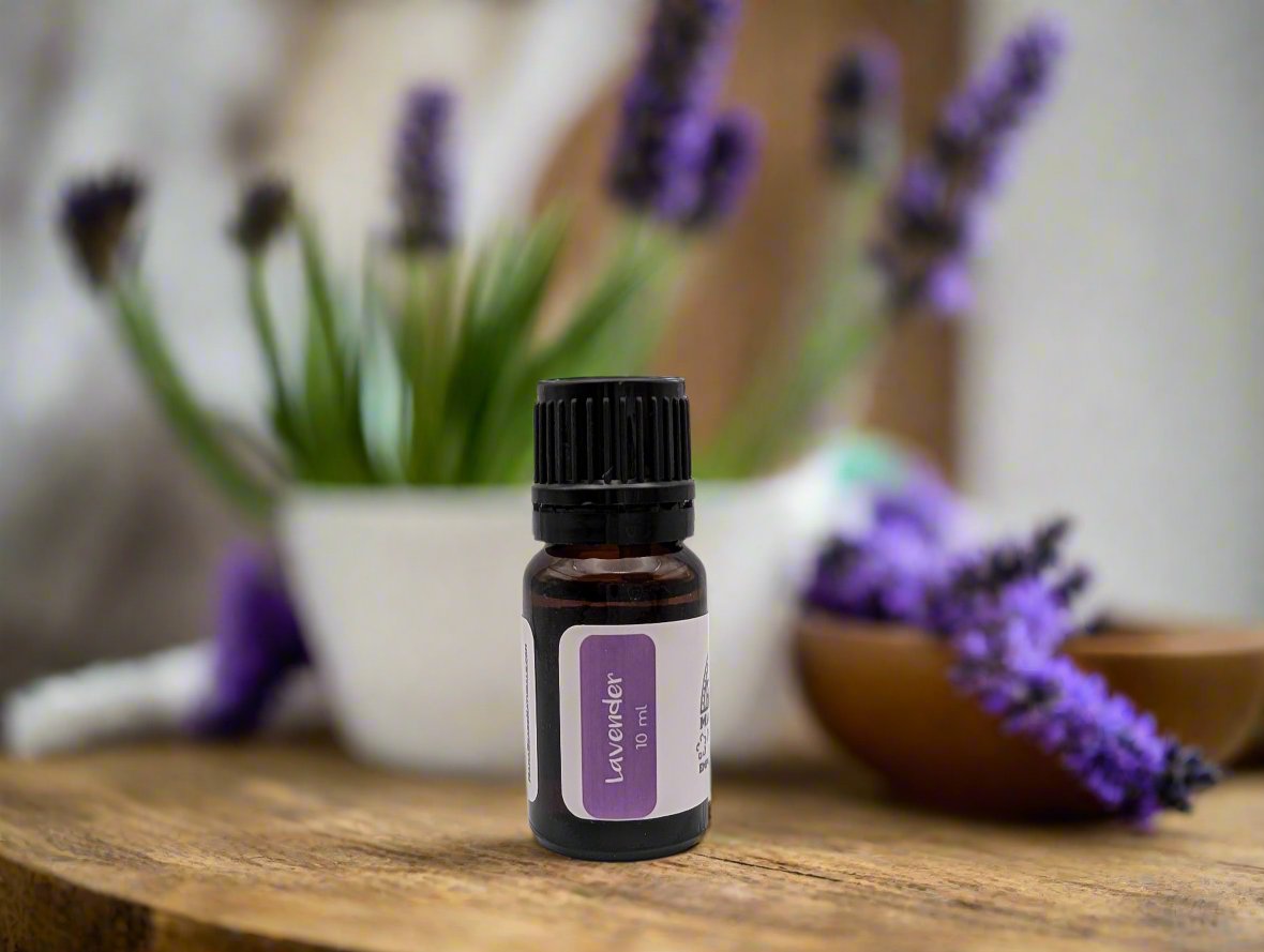 Lavender Essential Oil - Mama Bear's Naturals - Zero Toxin Skincare